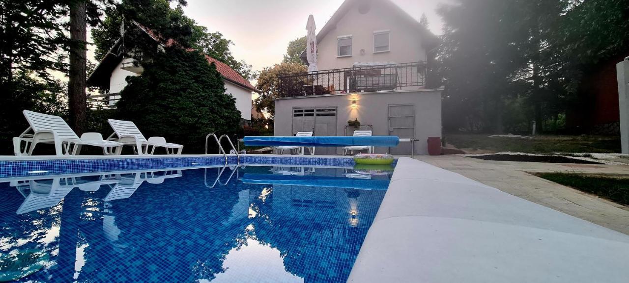 فيلا Velika Remetaفي Vila Sinfonia, A House With A Pool المظهر الخارجي الصورة